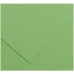 Картонная бумага Iris Apple Зеленый 50 x 65 cm