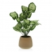 Decoratieve plant Versa 15 x 52 x 15 cm Cement Plastic