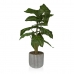 Planta Decorativa Versa 15 x 53 x 15 cm Cemento Plástico