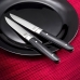 Комплект Ножове за Месо Amefa Fusion Двуцветен Метал 12 броя 22 x 1,8 x 1,2 cm