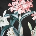 spilvens Tirkīzs 60 x 60 cm 100% kokvilnas Orhideja