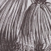 Kanvas 70 x 1,2 x 70 cm Palmträd