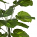 Branch Green PVC 70 x 70 x 75 cm