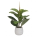 Decoratieve plant Groen PVC Ek 58 cm