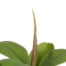 Decoratieve plant Groen PVC Ek 58 cm