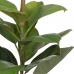 Plantă decorativă Verde PVC Dub 58 cm