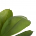 Διακοσμητικό Φυτό Πράσινο PVC Eik 58 cm