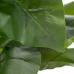 Decoratieve plant Groen 95 cm Witte aronskelk