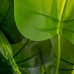 Roślina Dekoracyjna Kolor Zielony 95 cm Czermień