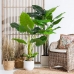 Dekorationspflanze 75 x 60 x 155 cm grün Philodendron