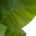Okrasná rastlina 75 x 60 x 155 cm zelená Filodendron