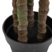 Dekorationspflanze 75 x 60 x 155 cm grün Philodendron