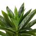 Dekoratyvinis augalas Žalia PVC Irisas