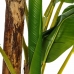 Dekorativ plante 103 x 95 x 200 cm Grøn PVC Bananplante