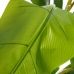 Dekorativ växt 103 x 95 x 200 cm Grön PVC Bananväxt