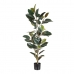 Dekorativ Plante PVC Jern Fig 49 x 45 x 125 cm