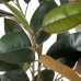 Pianta Decorativa PVC Ferro Ficus 49 x 45 x 125 cm