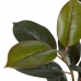 Dekorationspflanze PVC Eisen Ficus 49 x 45 x 125 cm