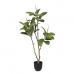 Dekorativna rastlina 116 cm Zelena PVC Stejar