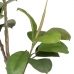 Decorative Plant 116 cm Green PVC Oak