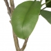 Dekoratyvinis augalas 116 cm Žalia PVC Ąžuolas
