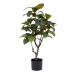 Декоративное растение 67 x 62 x 100 cm Зеленый Резиновый PVC