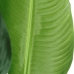 Dekorativ plante PVC Jern Paradisets fugl 150 cm