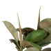 Декоративное растение 134 cm Зеленый PVC Дуб