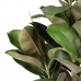 Dekorationspflanze 134 cm grün PVC Eg