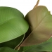 Roślina Dekoracyjna 134 cm Kolor Zielony PVC Dub