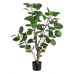 Dekorativ plante 80 x 77 x 113 cm Grøn PVC Aralia