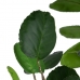 Dekorationspflanze 80 x 77 x 113 cm grün PVC Aralia