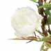 Fleurs décoratives 100 x 27 x 20 cm Blanc Pivoine