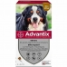 Pipet voor honden Advantix 40-60 Kg