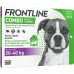 Pipette til hunde Frontline Combo 20-40 Kg