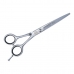 Hair scissors Cosmos Line Eurostil 6'0 COSMOS 6