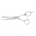 Hair scissors Neostar Eurostil ESCULPIR 5.5