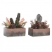 Decoratieve plant DKD Home Decor 19 x 9 x 22 cm Roze Oranje Cactus EVA-rubber Polypropyleen (2 Stuks)