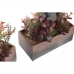 Decoratieve plant DKD Home Decor 19 x 9 x 22 cm Roze Oranje Cactus EVA-rubber Polypropyleen (2 Stuks)