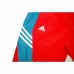 Broeken voor Volwassenen Adidas Sportswear Blauw Rood Mannen