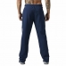 Long Sports Trousers Reebok Workout Ready Dark blue Men