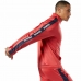 Pánska športová bunda Reebok Essentials Linear Červená