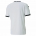 Спортивная футболка с коротким рукавом, мужская Puma Valencia CF 1