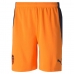 Sport shorts til mænd Puma 2ª Equipación Valencia CF 2020/21 Orange