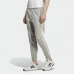 Nohavice pre dospelých Adidas Adicolor Classics 3 Stripes Sivá