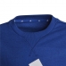 Detská mikina Adidas Essentials Big Logo Modrá