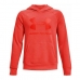 Uniseksinisdžemperis su gobtuvu Under Armour Rival Big Logo Raudona