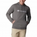 Vyriškas džemperis su gobtuvu Columbia CSC Basic Logo Tamsiai pilka
