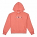 Women’s Hoodie Champion Legacy Graphic Pink