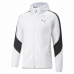 Men's Sports Jacket Puma Evostripe